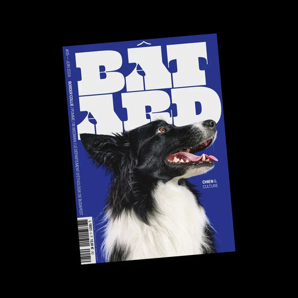Bâtard magazine - numéro 5 – article du blog Bon Oeil magazines